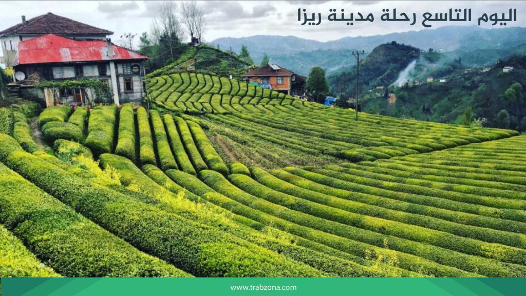 اليوم التاسع رحلة مدينة ريزا 