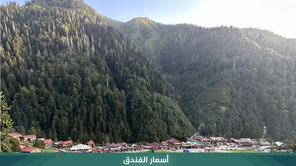 فندق آيدر فيلا دي بيليت Ayder Villa de Pelit Hotel 5 أسعار فندق آيدر فيلا دي بيليت