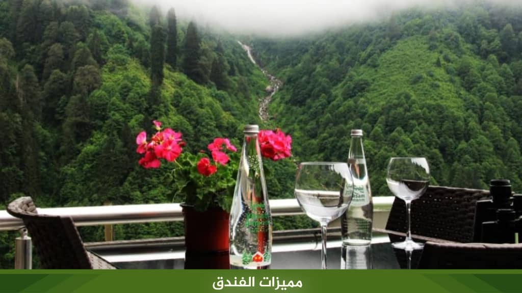 فندق آيدر فيلا دي بيليت Ayder Villa de Pelit Hotel 3 مميزات فندق آيدر فيلا دي بيليت
